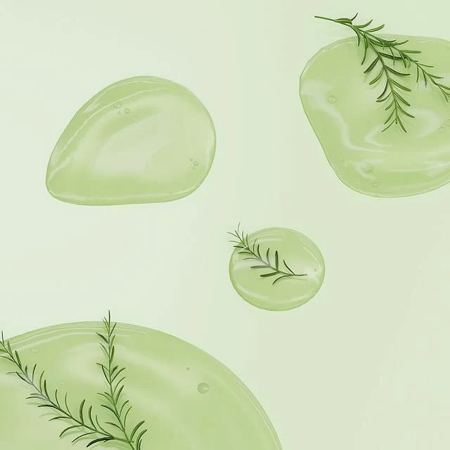 Dr.SEED Teatree And Lime Vegan No-sebum Cool Anti Hairloss Shampoo 1000ml - Image 2